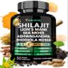 Adndale Shilajit for Men and Women. Pure Himalayan Organic Shilajit Capsules with Sea Moss Ashwagandha Rhodiola Rosea Lions Mane. 90 Count view 1
