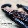 50 Organic Madagascar Vanilla Beans - Whole Grade A Premium Bourbon Pods - For Making Extract & Baking - For Cooking, Desserts & More - 100% Vegan & Kosher - Non-GMO & Gluten-Free - Native Vanilla view 3