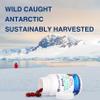 Antarctic Krill Oil Omega 3 Astaxanthin Choline DHA EPA, Superior Absorption, Extra Strength, No Fish Oil Aftertaste, Heavy Metal Tested, Small Size softgels 500mg view 3