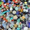 800Pcs+ (3lb) Gemstones and Crystals Set,30Kinds+ Bulk Rocks and Minerals Science Kit,Rocks Collections for Kids,Tumbled Chips Crystals,Crushed Stones view 4