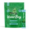 Waterboy Workout Hydration | 2,960mg Sugar Free Electrolyte Powder Packets | L-Glutamine + Vitamins | No Sugar, All Natural, Gluten Free | 15 Drink Stick Mixes (Blue Raspberry) view 1