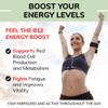 USDA Organic Vitamin B12 Liquid Drops 5000 mcg, Methylcobalamin, Sublingual, Fast Absorption, Cellular Energy, Metabolism Support, Nervous System, Mental Focus, Vegan, Non-GMO, 2 fl oz, 60 Servings view 3