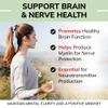 USDA Organic Vitamin B12 Liquid Drops 5000 mcg, Methylcobalamin, Sublingual, Fast Absorption, Cellular Energy, Metabolism Support, Nervous System, Mental Focus, Vegan, Non-GMO, 2 fl oz, 60 Servings view 4