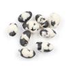 NY Spice Shop Wasabi Black Bean Snacks - 1 Pound Crispy Crunchy Coated Fresh Bulk Healthy On The Go Wasabi Snacks For Snacks Lover view 1