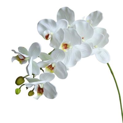 HXSCOO Simulated Flower 9-Head Phalaenopsis Orchid Home Decoration (Color : White)