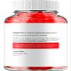 (2 Pack) SlimX Keto ACV Gummies - Advanced Formula Slim X Keto Plus ACV Gummies Apple Cider Vinegar SlimX ACV Gummies Dietary Supplement Reviews Men Women (120 Gummies) view 2