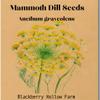 100+ Mammoth Dill Seeds | Aromatic Herb, Ideal for Pickling & Cooking | Heirloom, Non-GMO, Easy to Grow | High Germination Rate view 1