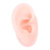 Mobestech 4pcs Silicone Ear Model for Piercing Practice and Jewelry Display Realistic Fake Ear for Acupuncture Training for Clinics Jewelry Shops and Educational Use view 1