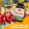 1200mg Berberine Herbal Health Capsules Support Heart and Cardiovascular Health, Help Maintain Healthy Cholesterol, Triglyceride, Blood Sugar Levels, Supports Digestion, Boosts Metabolism, 60 Capsules view 3
