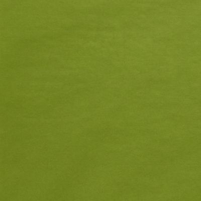 480ea - 480-20" X 30" Aloe Premium Matte Tissue Paper