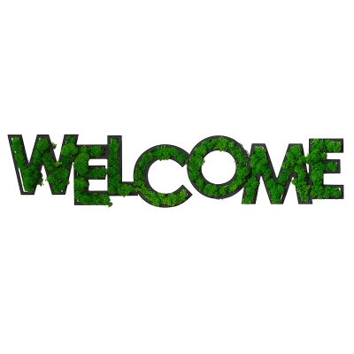 AmNooL WELCOME Letter Art Moss Wall Decor
