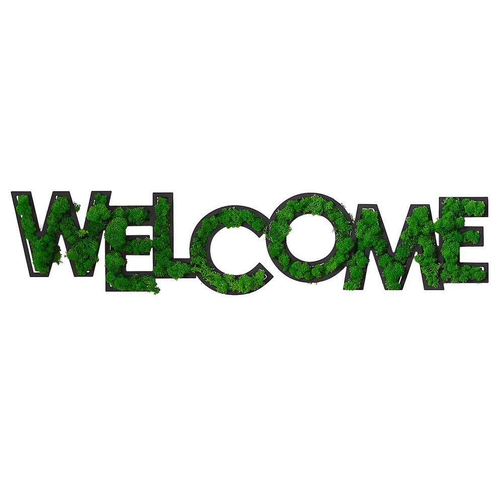 AmNooL WELCOME Letter Art Moss Wall Decor