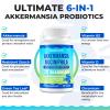 Akkermansia Probiotic, Live Strain Probiotics for Women & Men, Akkermansia Muciniphila for Gut Health, Digestive, Metabolic*, Immune, with Chromium, Green Tea Leaf, 60 Probiotic Capsule view 4