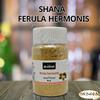Shana Sharsh El Zaloua (Ferula Hermonis) Powder Egyptian Herbs Natural Herbal Al Zaloua Egypt Arab No Preservatives No Gmo Kosher Halal Nature (3 Pack = 4.23 oz / 120 gm)    view 3