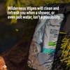 Sea to Summit XL Wilderness Wipes Rinse-Free Body Wipes, 2-Pack (8 Wipes per Pack) view 2