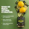 Essential Nutrition Hydrolift Electrolytes - Powerful Hydration Formula - with Trace Elements & Minerals - Keto Friendly - Sugar Free - Lemon, Naturally Flavored - 30 Sticks view 4