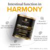 Essential Nutrition - Collagen Gut - Collagen Peptides Powder - Gut health supplement Immunity - Prebiotic Fiber, Turmeric Extract, FODMAP Friendly, Sugar-Free - Orange & Blueberry- 15oz (20 Servings) view 2