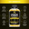 EFFECTIVE NUTRA Mushroom Gummies 90ct & Creatine Monohydrate Gummies 90ct view 3