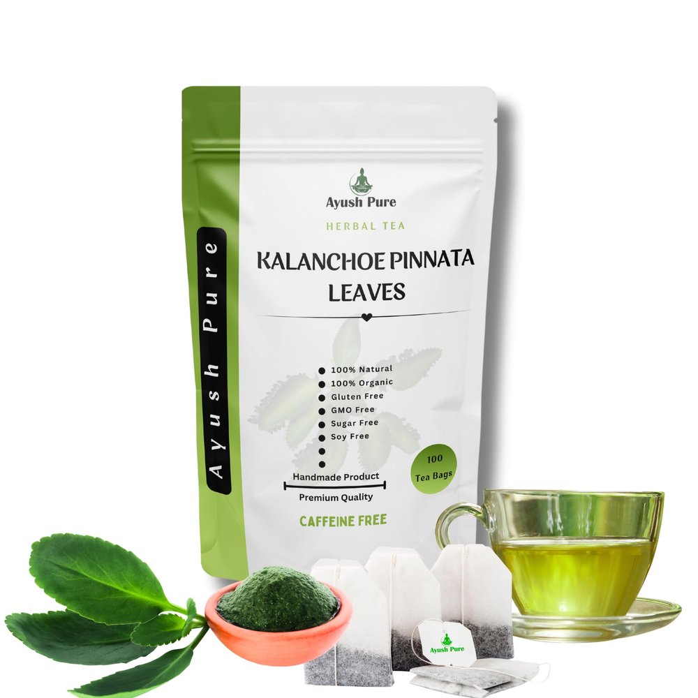 100 Tea Bag Kalanchoe Pinnata Powder Healthy Pure Leaves Powder Tea Bag Grade A