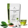 100 Tea Bag Kalanchoe Pinnata Powder Healthy Pure Leaves Powder Tea Bag Grade A view 1