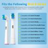 8 Pack Replacement Toothbrush Head Compatible with Oral B Toothbrush (Premium Packaging) view 2