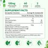 2 Pack Ginkgo Biloba Gummies for Women and Men, Brain Supplement Improve Better Mood and Focus, Vegan Mixed Berry Flavor 120 Count view 2