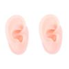 SOLUSTRE 2pcs Silicone Ear Model for Jewelry Display and Piercing Practice Tool Realistic Fake Ear for Teaching Human Anatomy Convenient Design for Earrings Jewelry Showcase