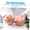 SOLUSTRE 2pcs Silicone Ear Model for Jewelry Display and Piercing Practice Tool Realistic Fake Ear for Teaching Human Anatomy Convenient Design for Earrings Jewelry Showcase view 4