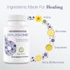 BruiseMD Bromelain 500mg 2,400GDU/g Supplement with Zinc and Vitamin C for Swelling, Inflammation, and Discoloration, Easy to Swallow Capsules (14-Day Supply) - Advanced Formula view 4