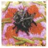 JP Yamato Foods Sakura Denbu 30g (Pack of 3) - MADE IN JAPAN view 4