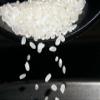 JP [Product of Japan] Luxury Koshihikari Milled White Rice (Short Grain), Koshihikari from Uonuma, Less Than 0.003% of the Koshihikari Made in Uonuma, Niigata - 2KG / 4.4 Pound - Limited Stock view 3