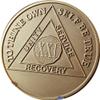 21 Year AA Medallion Premium Bronze Lion Back Sobriety Chip view 1