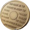 21 Year AA Medallion Premium Bronze Lion Back Sobriety Chip view 2