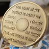 21 Year AA Medallion Premium Bronze Lion Back Sobriety Chip view 4