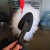 HAdLAm Wool Dusters for Cleaning, Car Indoor Small Dusting Feather Duster, Living Room Cleaning Dust Cleaning Tool (Color : B) view 3