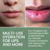 Organic Lip Balm Lip Treatment & Moisturizer for Dry Cracked Lips with Shea Butter & Vanilla, Ultra-Hydrating & Nourishing, Barrier-Repair Lip Therapy, Natural Skin Care, 3 Pack, Women & Men view 4