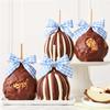 Mrs Prindables Pretty Picnic Gourmet Chocolate Covered Caramel Apple 4-Pack view 1