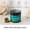 Ancient Nutrition Organic SuperGreens Powder with Probiotics, Organic Greens Flavor Greens, Made from Real Fruits, Vegetables and Herbs, Digestive and Energy Support, 12 Servings, 3.4oz view 2