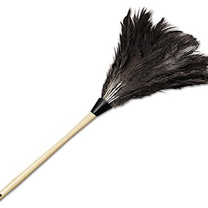 212 Main Professional Ostrich Feather Duster with 13 in. Wood Handle - Natural