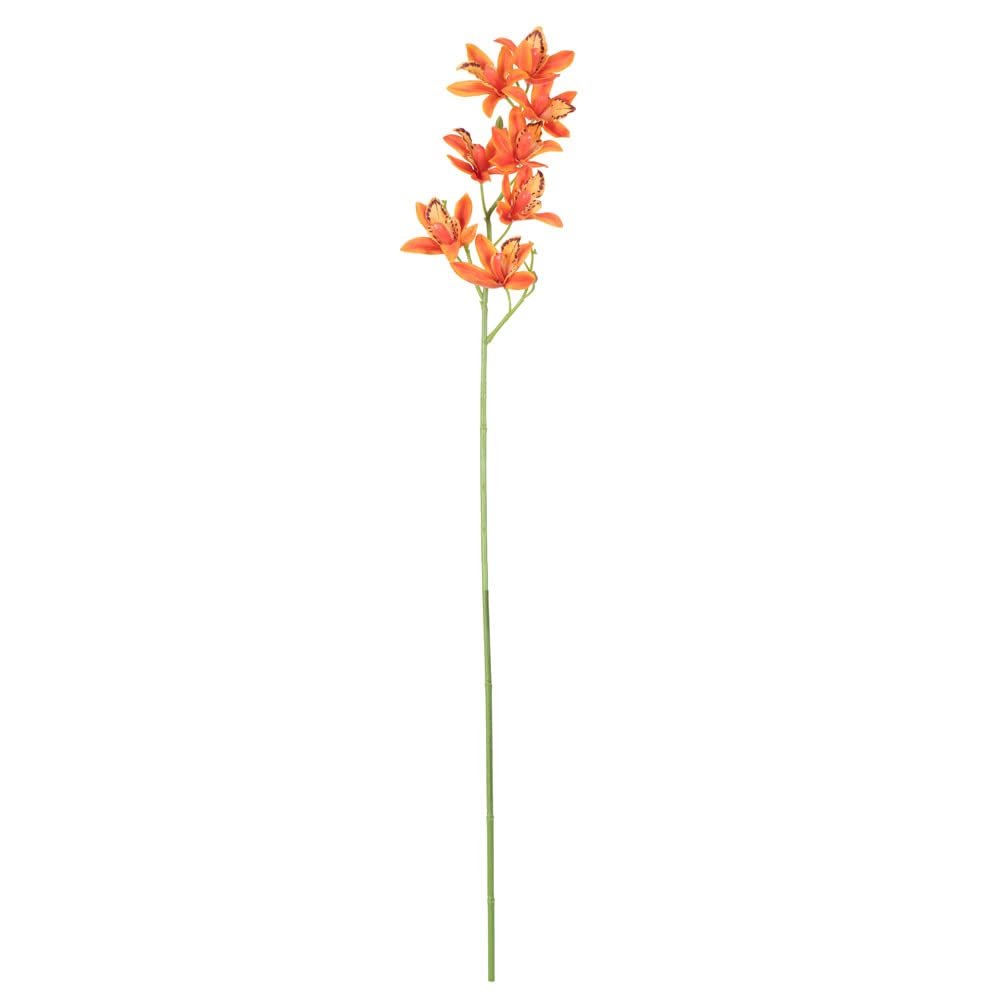 212 Main 32 inch Orange Orchid Stem