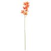 212 Main 32 inch Orange Orchid Stem view 1
