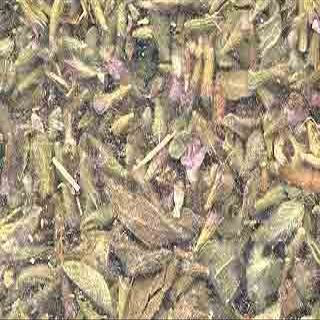 212 Main 1 Lb Pennyroyal Leaf cut