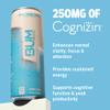 BUM Sugar-Free Energy Drink, Blue Snow Cone - Lightly Carbonated & No Artificial Colors, Natural Caffeine & Citicoline for Energy & Focus, Brain Boost & Workout Sports Beverage - 12 oz, Pack of 12 view 3