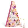 Tea Forte Tea Advent Calendar Gift Set; 12 Individually Wrapped Handcrafted Assorted Pyramid Infuser Tea Bags with Numbered Doors, Mariposa view 1