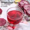 Freeze Dried Dragon Fruit Slices Chunks for Cocktails Dragon Fruit Cubes Pieces Bulk No Sugar added Make Drink/Tea Dehydrated Snack, Red Nutty 3.5oz/100g view 2