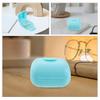 Healvian 2Pcs Case Plastic Period Storage Case Period Holder Disc Cleaner Diva Carrier for Travel view 4