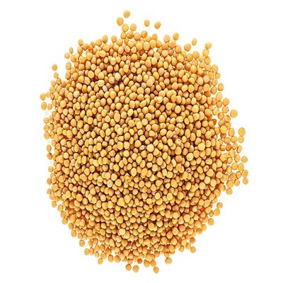 12 Ounces Whole Yellow Mustard Seeds