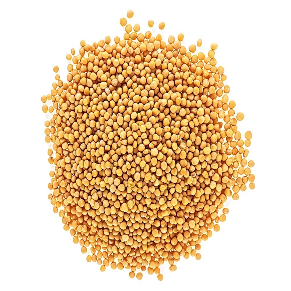 12 Ounces Whole Yellow Mustard Seeds