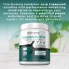 MYOXCIENCE Electrolyte STIX | Creatine Electrolyte Powder | Recovery from Exercise & Muscle Development w/Real Salt (Unflavored) (Jar 45 ct) view 3