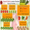 2g x 30pcs x 1bag [Green Juice (Aojiru)] All Natural Yame Matcha & Young Barley Grass (Leaves) Powder Individual packaging view 3